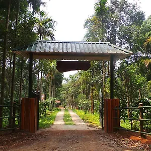Orange Wood Vythiri